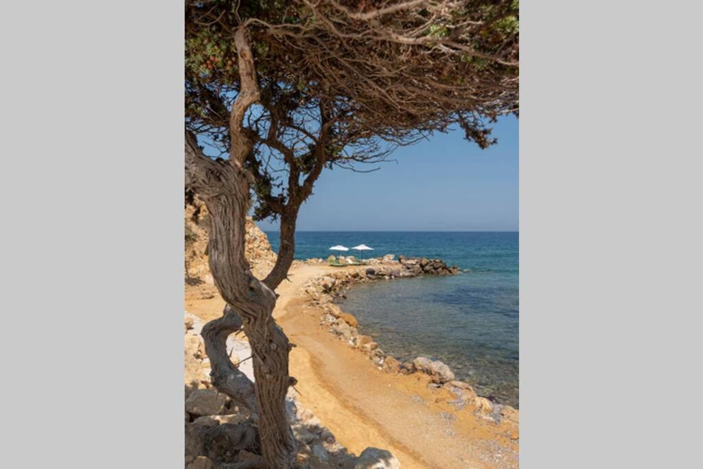 Villa Ktima Sfakia