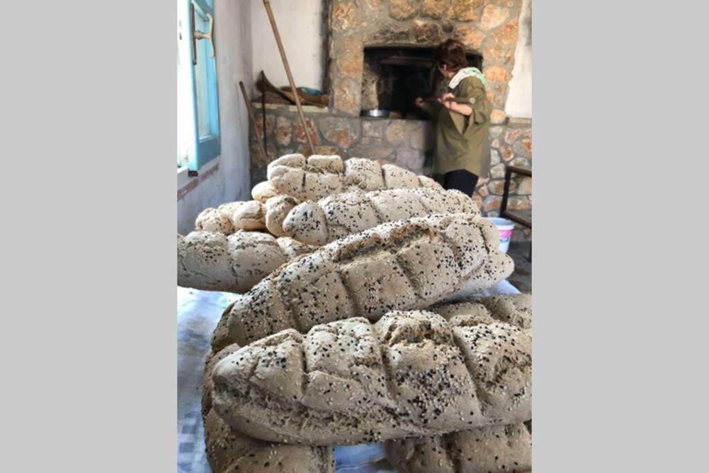 Ktima Sfakia * Κέφαλος