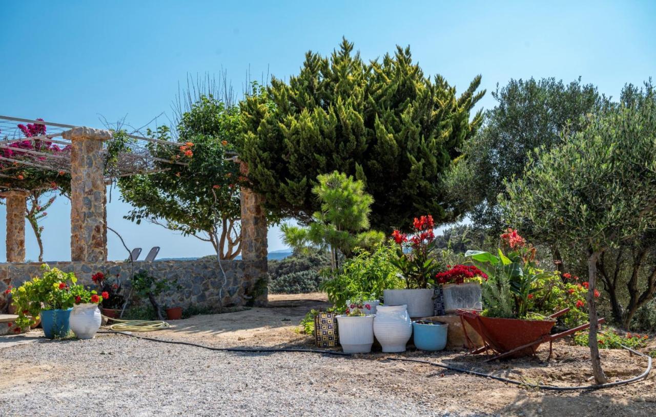 Ktima Sfakia * Kefalos (Kos)