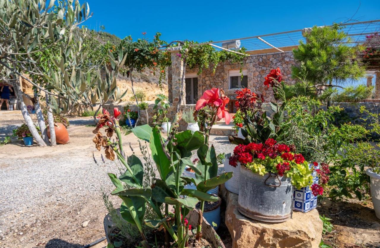 Ktima Sfakia Βίλα Κέφαλος